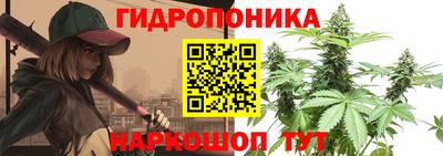 ECSTASY Малгобек