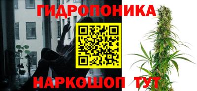 ГАЛЛЮЦИНОГЕННЫЕ ГРИБЫ Малоярославец