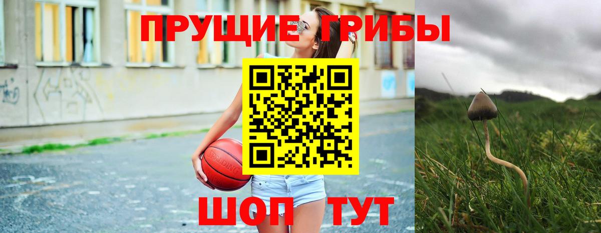 Галлюциногенные грибы ЛСД  что такое   Азов  Вход с VPN  Галлюциногенные грибы GOLDEN TEACHER 